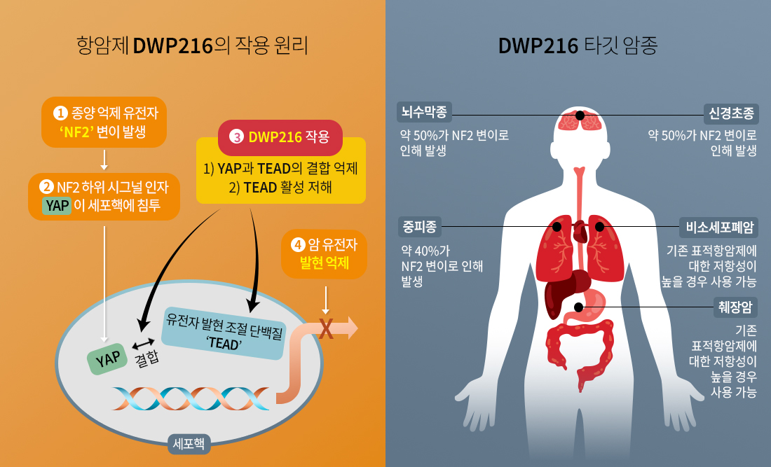 뉴스룸 썸네일