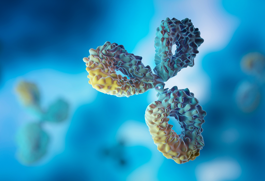 항체 기반의 바이오의약품 (Antibody-based biologics)