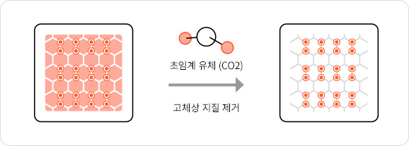 초임계 유체 (CO2)를 이용해 고체상 지질 제거